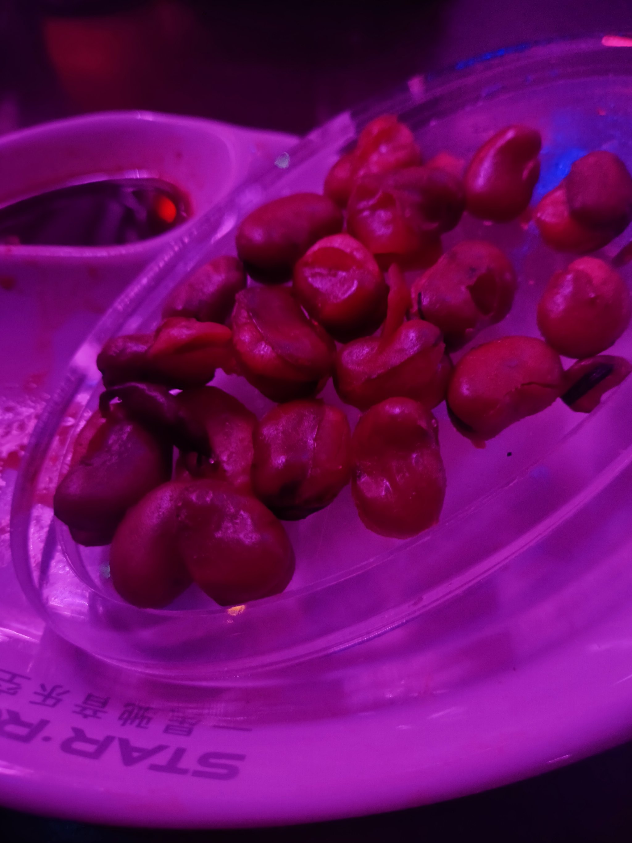 沧州商务ktv订房特惠-任丘市ktv预定